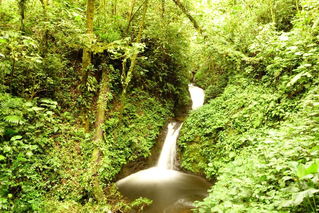 Casa Alquimia Otel Monteverde Dış mekan fotoğraf