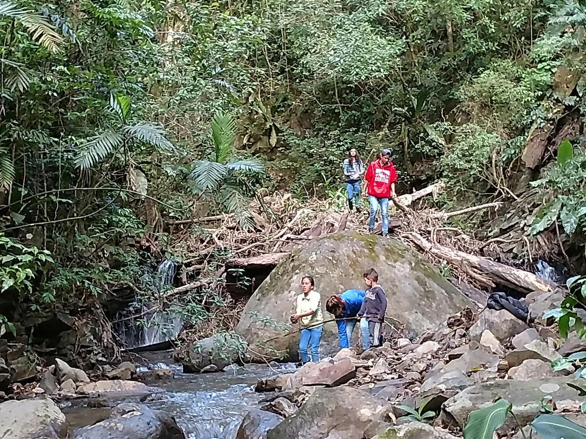 Casa Alquimia Otel Monteverde Dış mekan fotoğraf
