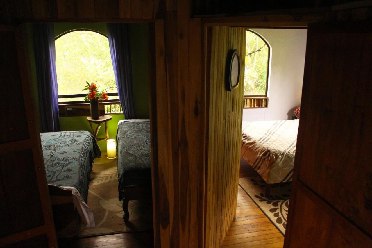 Casa Alquimia Otel Monteverde Dış mekan fotoğraf